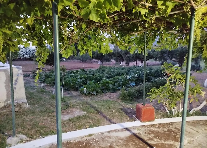 فيلة Sunrise ليكسوري