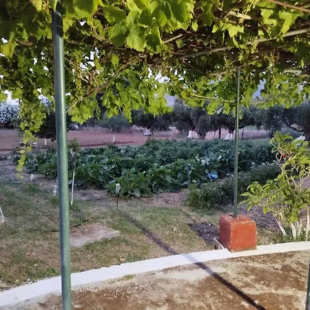 Villa Sunrise Lixouri